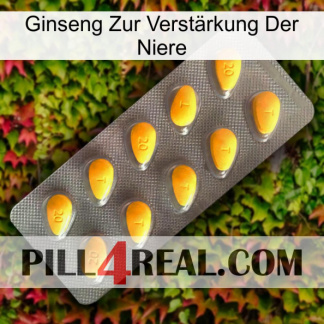 Ginseng Zur Verstärkung Der Niere cialis1